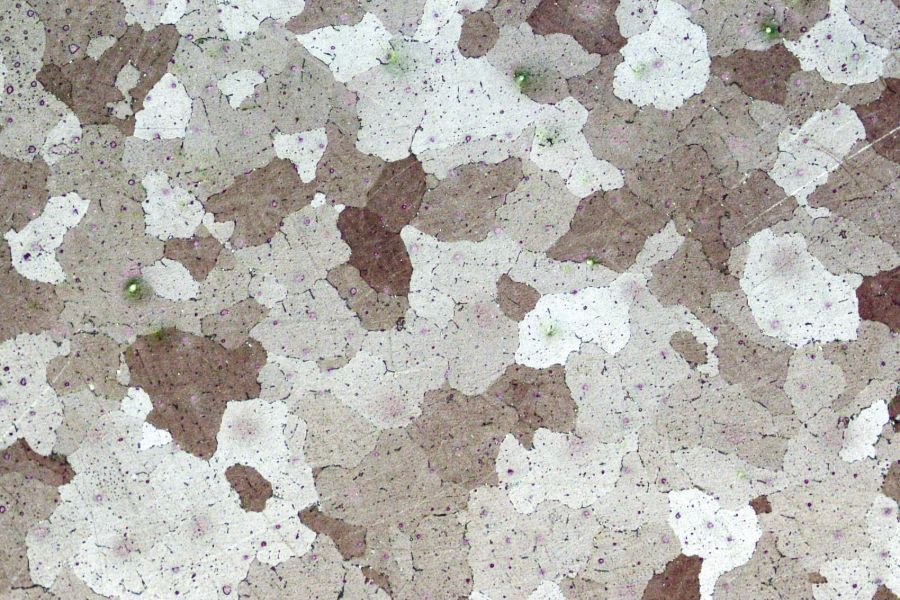 Soi kích thước từ kính hiển vi MA200 LED - Dòng mới của hãng Nikon từ đầu năm 2026